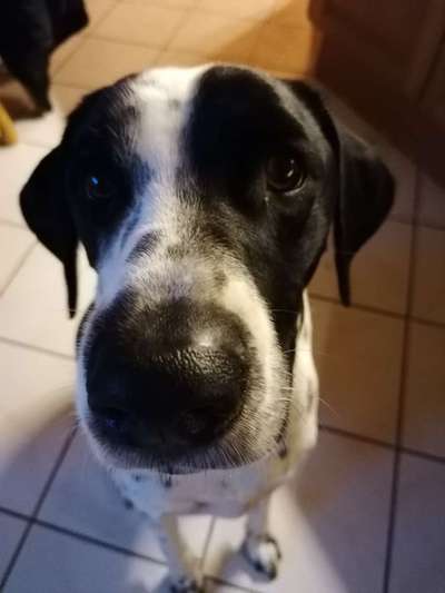 Fotochallange Nr. 57     PORTRÄT.   Beendet!!!!!!!!-Beitrag-Bild