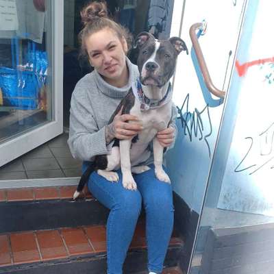 Hundetreffen-Hundetreffen in pinneberg-Profilbild