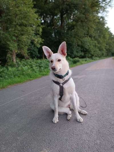 Doppelgänger gesucht !-Beitrag-Bild