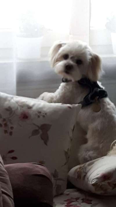 Meinungen zu ANIFIT?-Beitrag-Bild