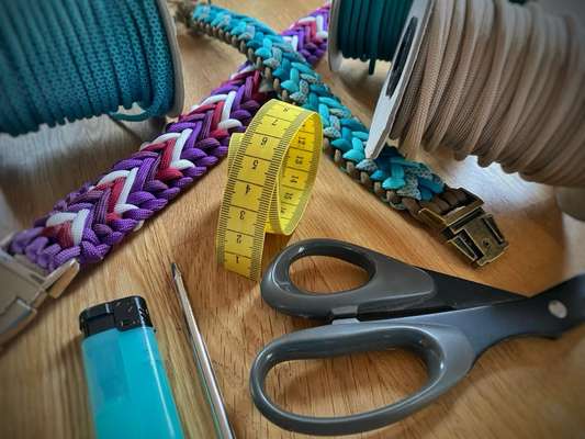 Giftköder-KNÜPF WORKSHOP - DIY HUNDEHALSBAND-Bild