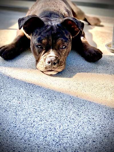 Fotochallange Nr. 57     PORTRÄT.   Beendet!!!!!!!!-Beitrag-Bild