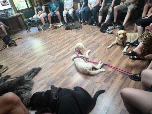 Was hat euch heute gefreut?-Beitrag-Bild