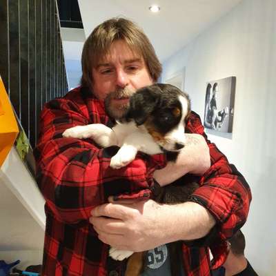 Hundetreffen-Hundetreffen zum auspowern und Spielen