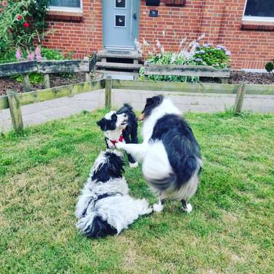 Handy-foto Challange nr. 11-Beitrag-Bild