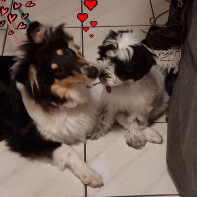 Lieblingsbild-Beitrag-Bild