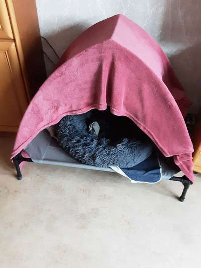 Höhlenbett-Beitrag-Bild