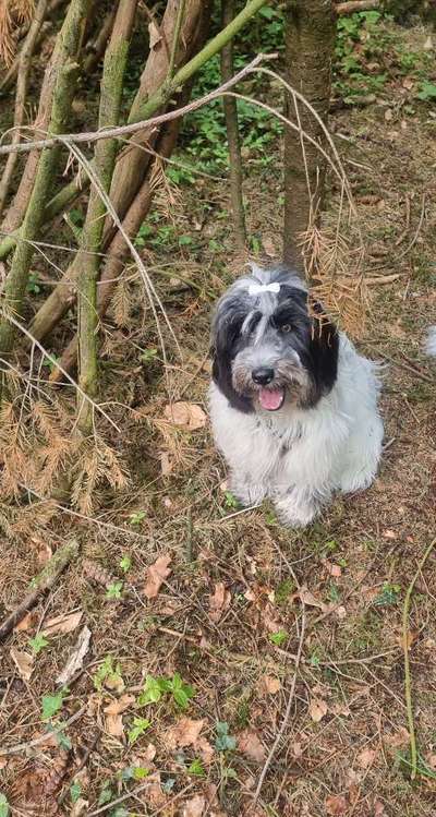 Fotowettbewerb Natur-Beitrag-Bild