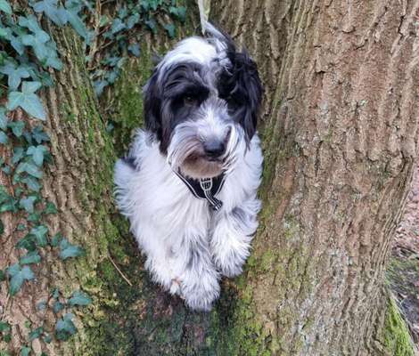 Fotowettbewerb Natur-Beitrag-Bild