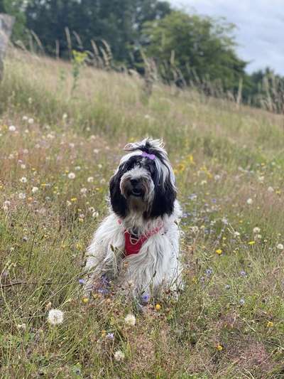 Fotowettbewerb zum Thema "Sonne"-Beitrag-Bild