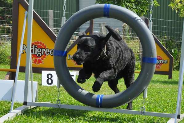 Fotochallenge Nr. 52 „Spring!“-Beitrag-Bild