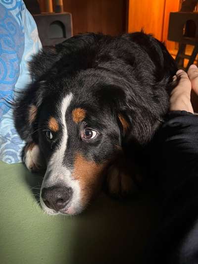 147. Foto Challenge: Bettelblick-Beitrag-Bild