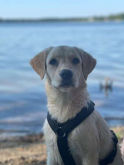 Fotochallange Nr. 57     PORTRÄT.   Beendet!!!!!!!!-Beitrag-Bild