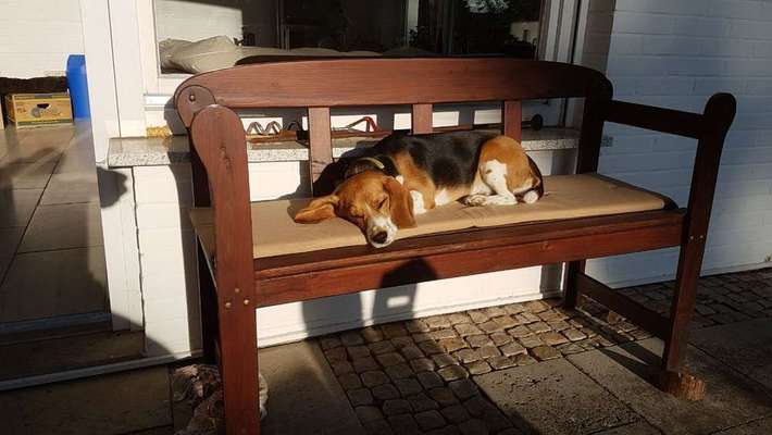 Lieblings Schnappschuss?-Beitrag-Bild