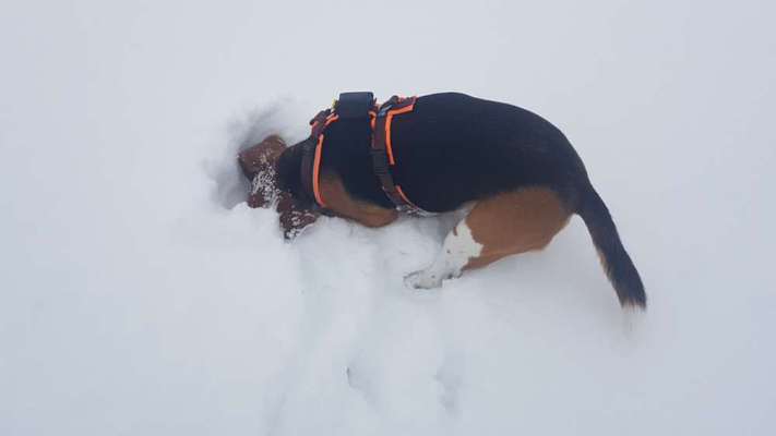 Der erste Schnee, zeigt uns eure tollen Schneemomente-Beitrag-Bild