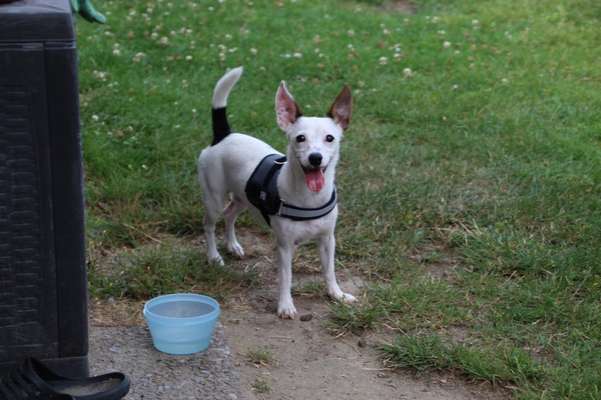 Lieblingsbild :D-Beitrag-Bild