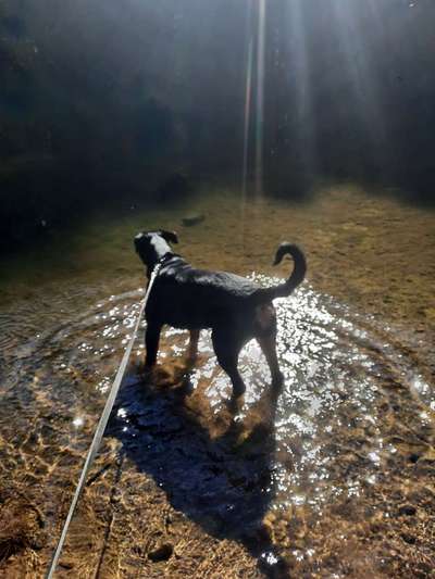 Theos Fotochallange Nummer 4-Beitrag-Bild