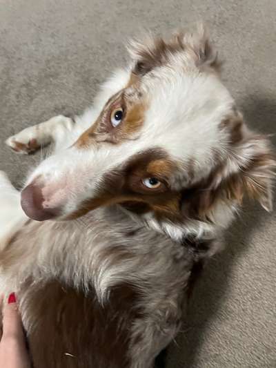 Zeigt eure Portraits-Beitrag-Bild