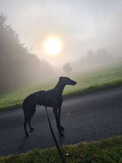 Un...scharf Bilder-Beitrag-Bild