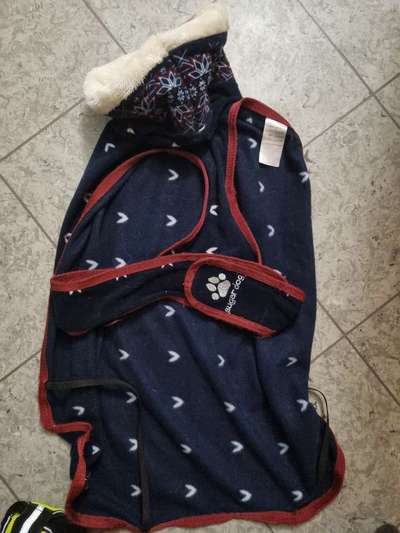 Grosse Hundejacken/Mäntel-Beitrag-Bild