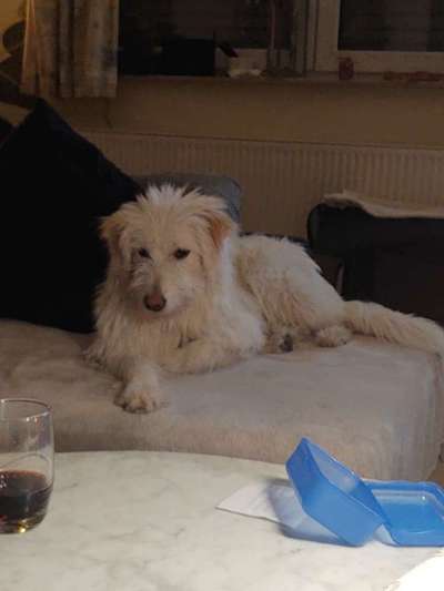 Gibts hier Mioritic Besitzer?-Beitrag-Bild