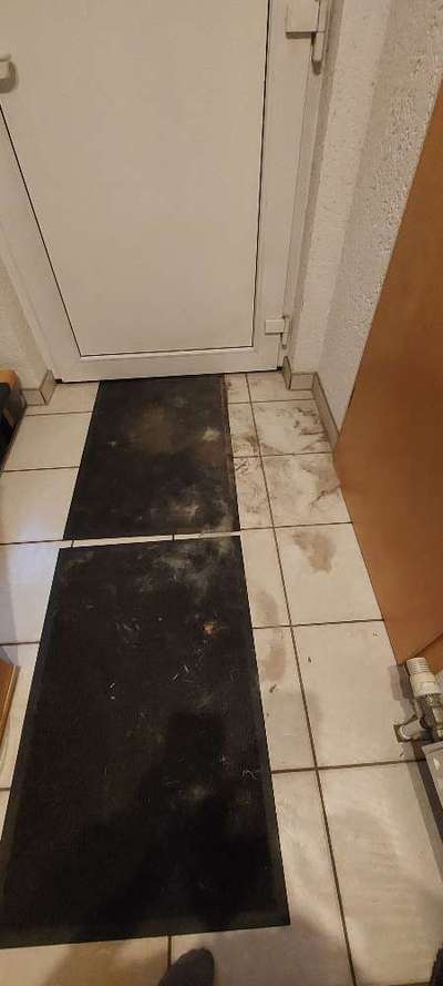 Gibts hier Mioritic Besitzer?-Beitrag-Bild