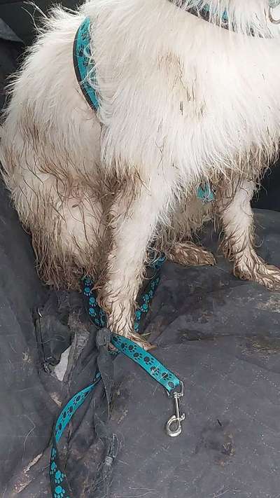 Gibts hier Mioritic Besitzer?-Beitrag-Bild