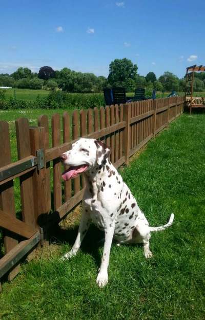 Unsere Sternchen ******-Beitrag-Bild