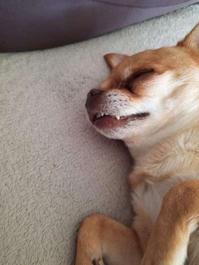 Freude und lachen-Beitrag-Bild