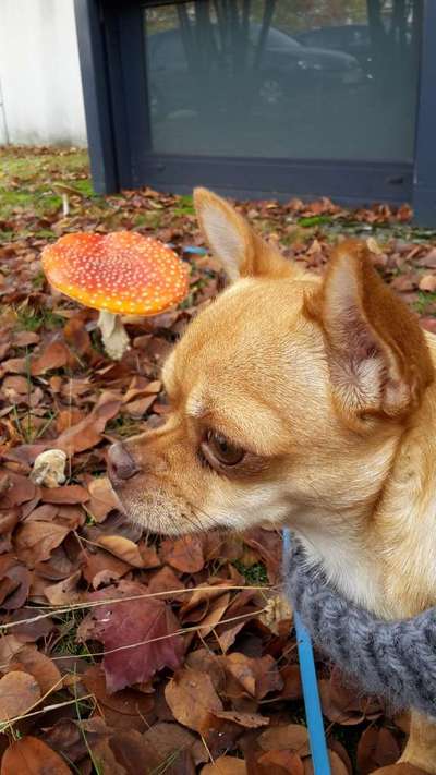 Theos Fotochallange Nummer 4-Beitrag-Bild