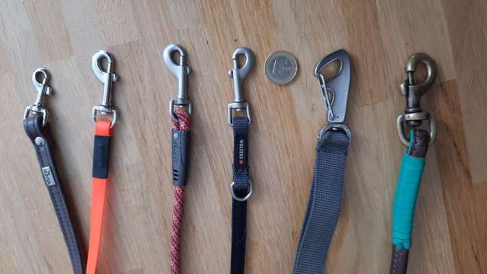 Wo sind die Chihuahua Besitzer ?-Beitrag-Bild