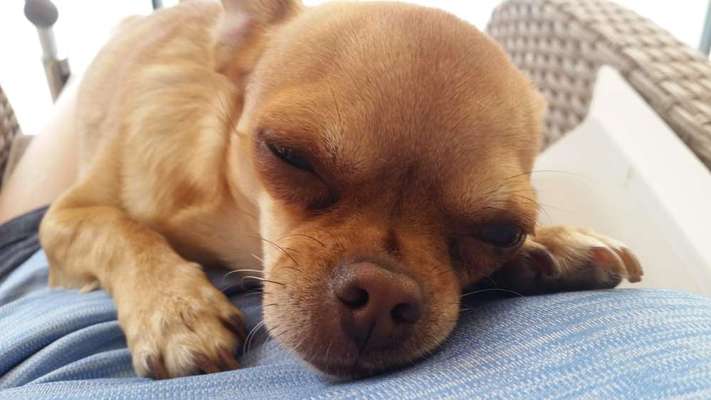 Lieblingsbild-Beitrag-Bild