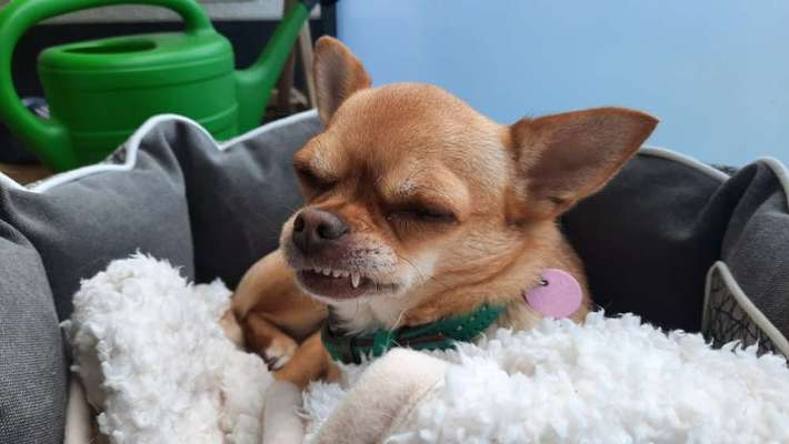 Freude und lachen-Beitrag-Bild