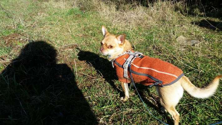 Angst vorm Pullover/ Mantel anziehen-Beitrag-Bild
