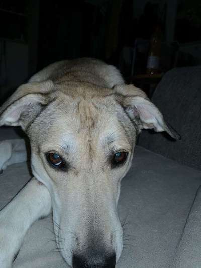 Was steckt in Ihr? (Sara)-Beitrag-Bild