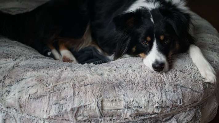 Erfahrung mit Wolkenbett-Beitrag-Bild