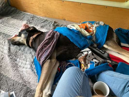 Was hat euch heute genervt?-Beitrag-Bild