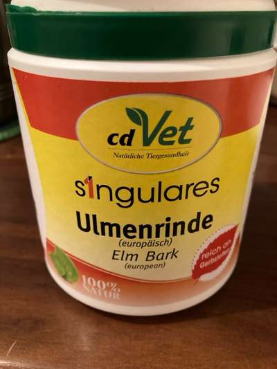 Ulmenrinde-Beitrag-Bild