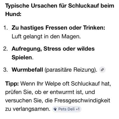 Welpe hat Schluckauf-Beitrag-Bild