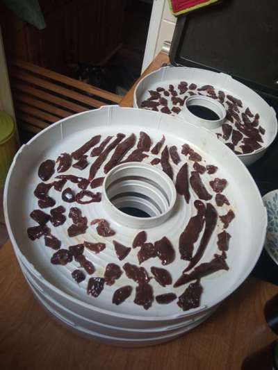 Fleisch und Innereien dörren-Beitrag-Bild