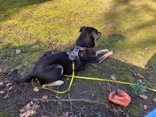 Auslastung an der Leine-Beitrag-Bild