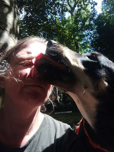 Dogorama Photo Challenge - Liebesbeweis-Beitrag-Bild