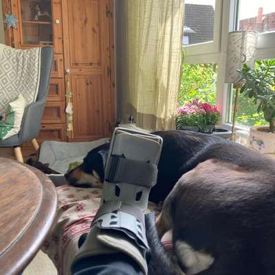 Was hat euch heute genervt?-Beitrag-Bild