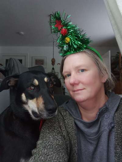 Action-Fun Hund- Aventskalender-Beitrag-Bild