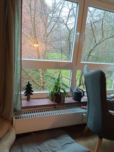 Bellen am Fenster-Beitrag-Bild