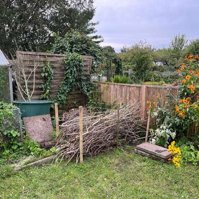 Der perfekte Hundegarten-Beitrag-Bild