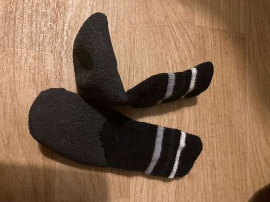 Vor Streusalz schützen?-Beitrag-Bild