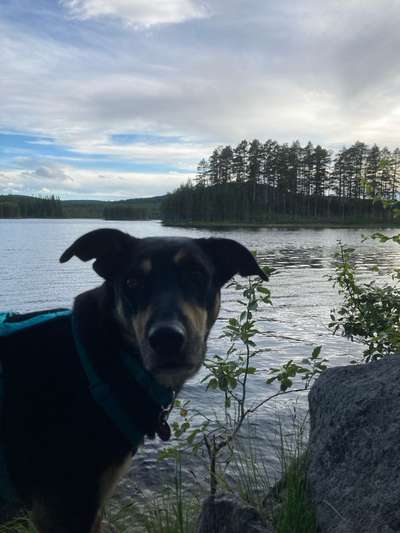 Was hat euch heute genervt?-Beitrag-Bild