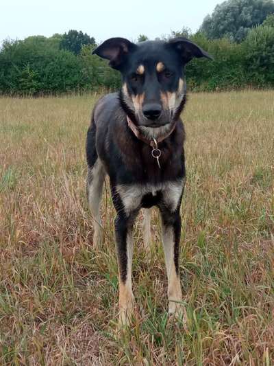 Ist das ein...?-Beitrag-Bild