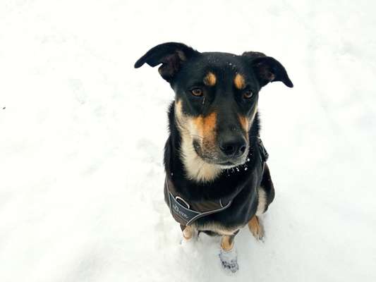 Was hat euch heute genervt?-Beitrag-Bild